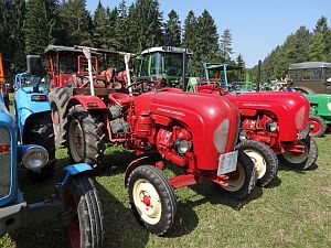 McCormick Porsche Wahl