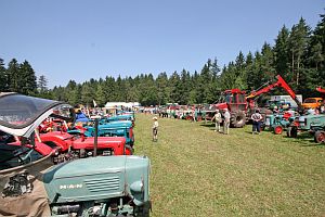 Das Oldtimertreffen 2013 im Überblick
