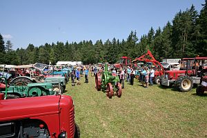 Das Oldtimertreffen 2013 im Überblick